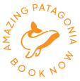 Amazing Patagonia · Book Now
