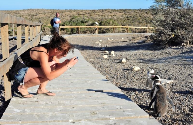 Paquete Verano Madryn: Sol, Playa y Pinguinos en base doble – TRAVEL SALE – 10% OFF ¡Abona en 3 cuotas sin interés! 4