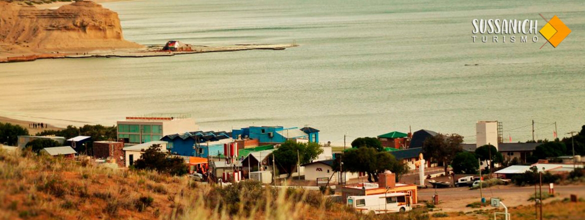 Peninsula Valdes con Box Lunch + City Tour 1
