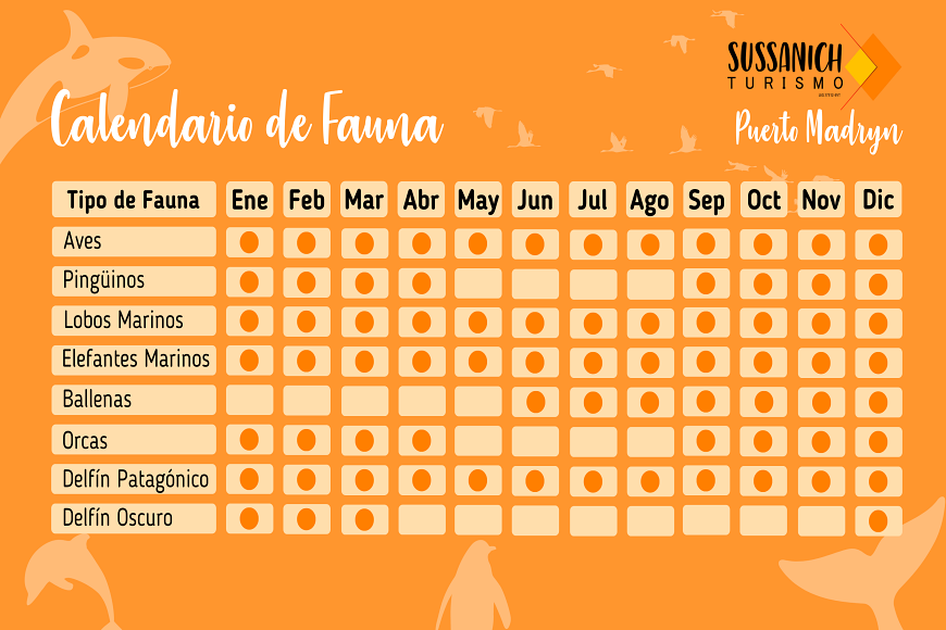 Calendario de fauna de Puerto Madryn e Peninsula Valdes