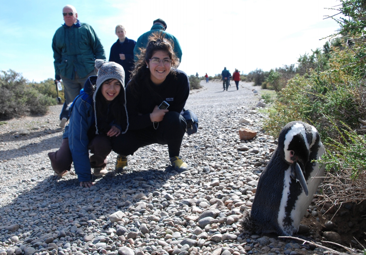 Punta Tombo: encuentro y caminata con pingüinos – TRAVEL SALE – 20% off ¡Congela tarifa de temporada baja! 4