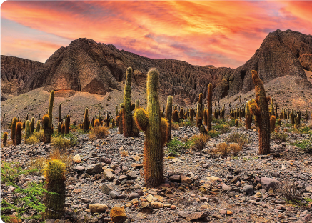 Salta: colores, cultura y sabores del norte