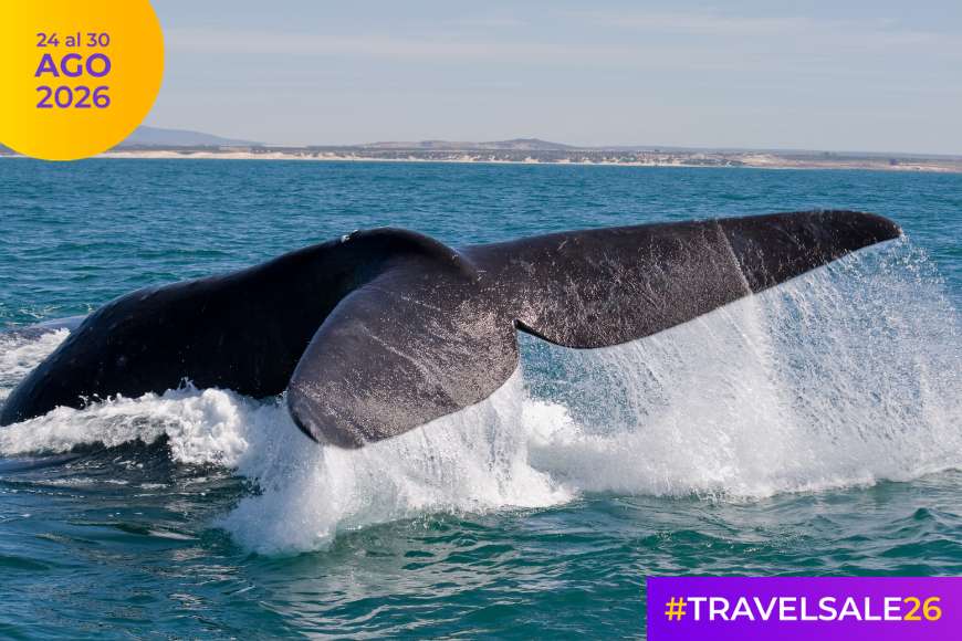 Travel Sale 2026: las mejores ofertas para viajar a Puerto Madryn, Argentina y el mundo