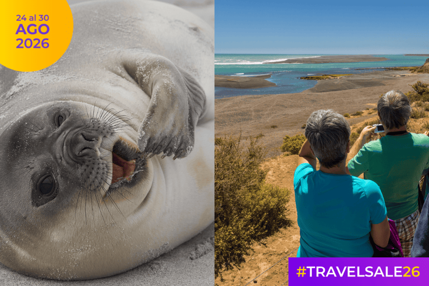 Península Valdés: naturaleza y fauna patagónica – TRAVEL SALE – 10% OFF ¡Abona en 4 cuotas sin interés!
