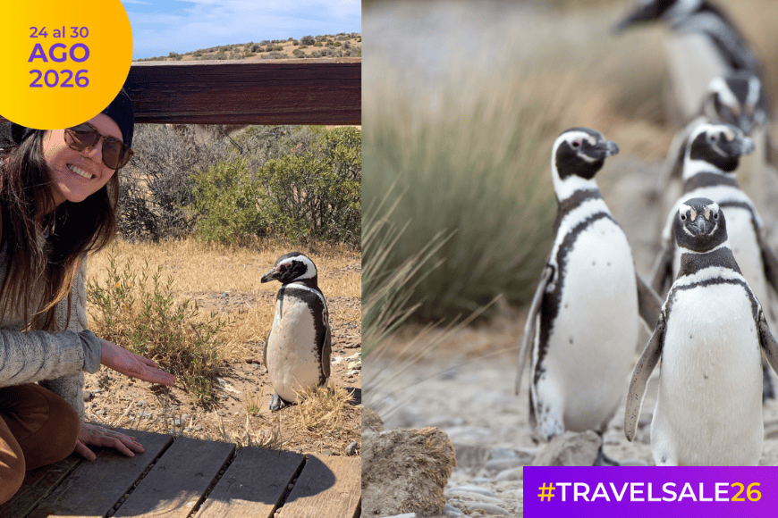 Punta Tombo: encuentro y caminata con pingüinos – TRAVEL SALE – 10% OFF ¡Abona en 4 cuotas sin interés!