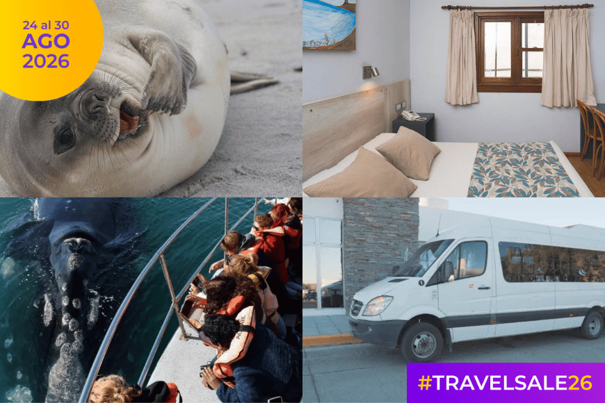 Paquete Puerto Madryn: Hotel + Transfers + Excursión con Avistaje en base triple – TRAVEL SALE – 10% OFF ¡Abona en 3 cuotas sin interés!